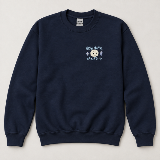 Blue Hour Field Trip Youth crewneck sweatshirt